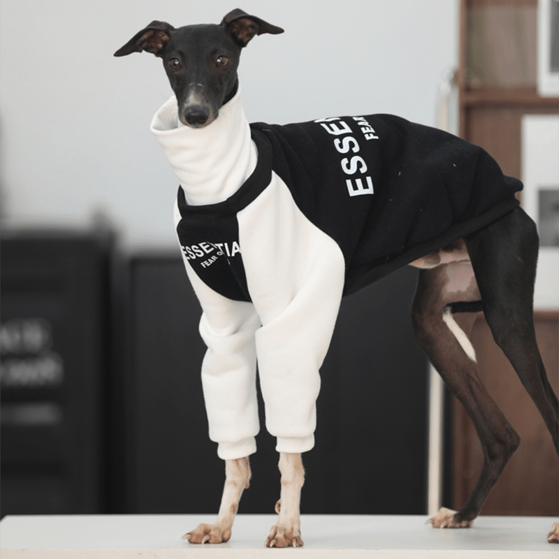 Essantial Athletic Sweatshirt Hoodie Italian Greyhound Whippet Dog Clothes - PIKAPIKA