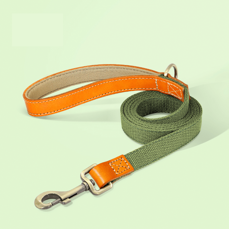 Essential Dog Harness No Pull Vest - Style Double - Clip Control with Leashes - PIKAPIKA