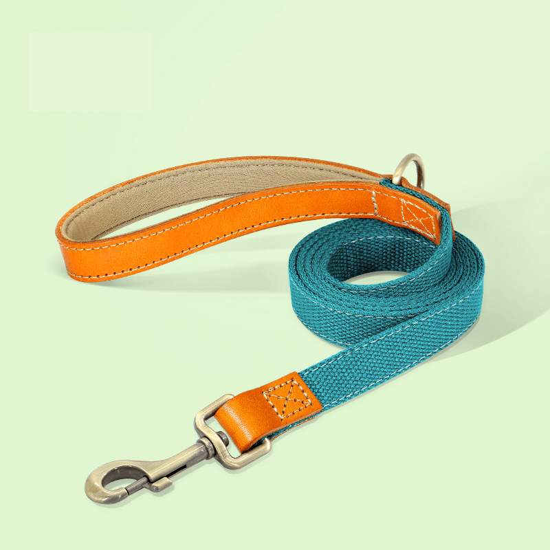 Essential Dog Harness No Pull Vest - Style Double - Clip Control with Leashes - PIKAPIKA