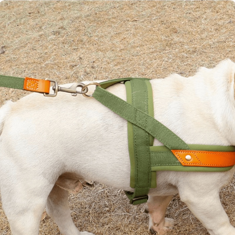 Essential Dog Harness No Pull Vest - Style Double - Clip Control with Leashes - PIKAPIKA