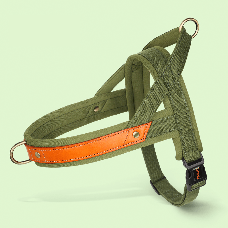 Essential Dog Harness No Pull Vest - Style Double - Clip Control with Leashes - PIKAPIKA