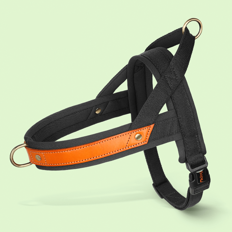 Essential Dog Harness No Pull Vest - Style Double - Clip Control with Leashes - PIKAPIKA