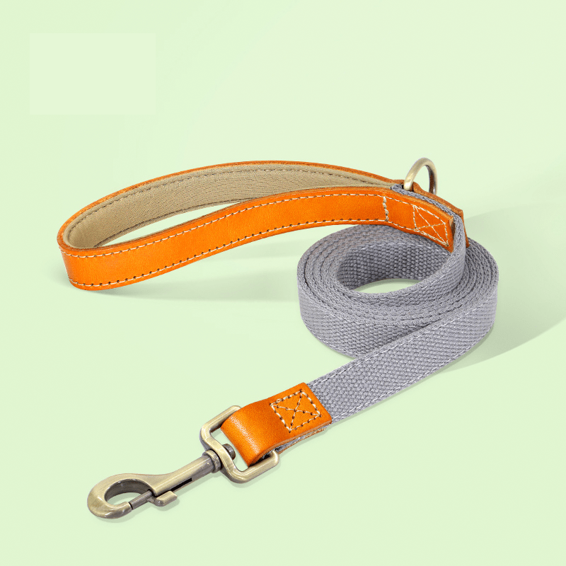Essential Dog Harness No Pull Vest - Style Double - Clip Control with Leashes - PIKAPIKA