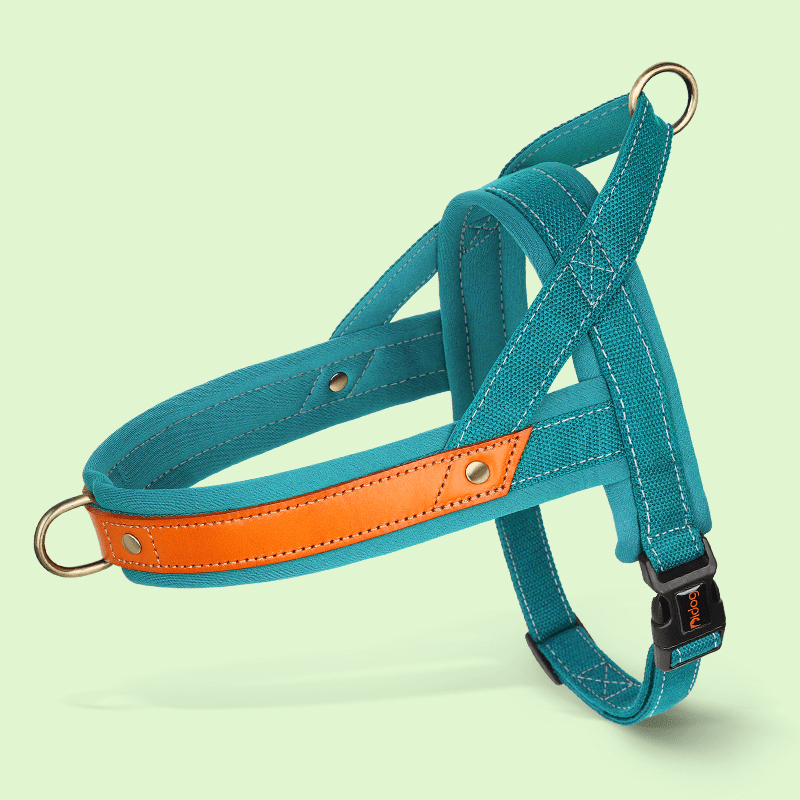 Essential Dog Harness No Pull Vest - Style Double - Clip Control with Leashes - PIKAPIKA