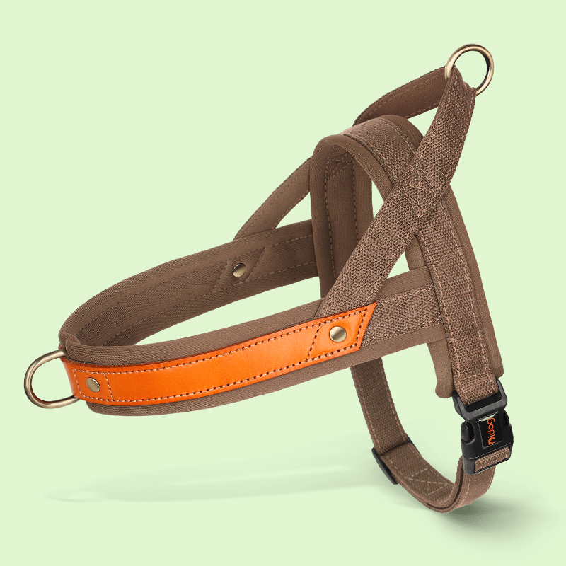 Essential Dog Harness No Pull Vest - Style Double - Clip Control with Leashes - PIKAPIKA