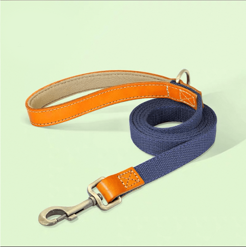 Essential Dog Harness No Pull Vest - Style Double - Clip Control with Leashes - PIKAPIKA