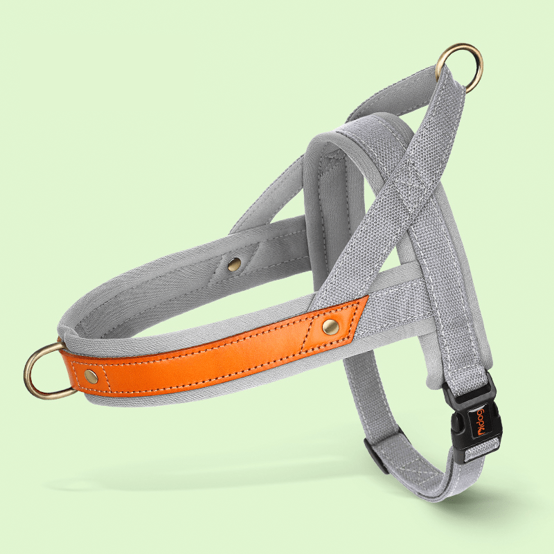 Essential Dog Harness No Pull Vest - Style Double - Clip Control with Leashes - PIKAPIKA