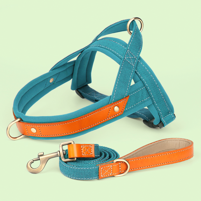 Essential Dog Harness No Pull Vest - Style Double - Clip Control with Leashes - PIKAPIKA
