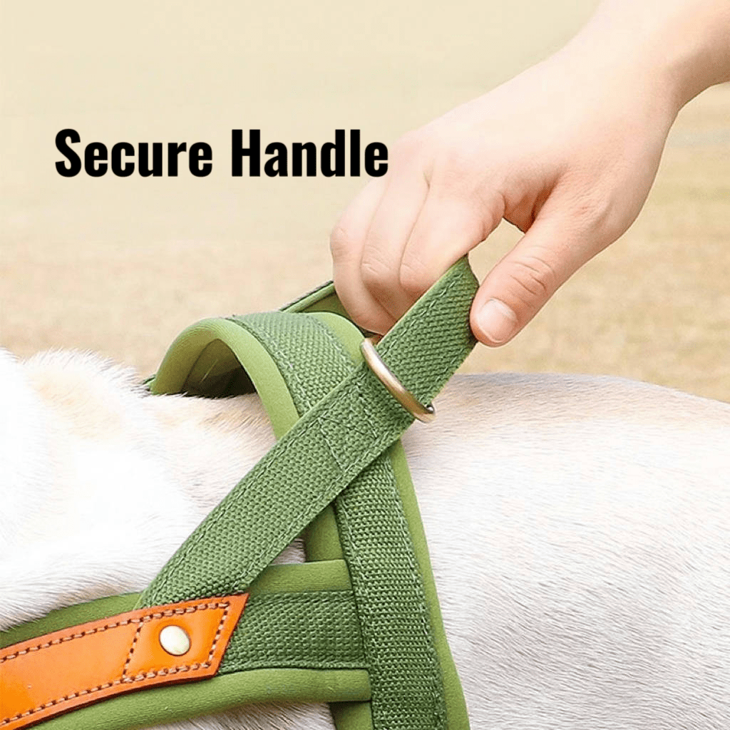 Essential Dog Harness No Pull Vest - Style Double - Clip Control with Leashes - PIKAPIKA