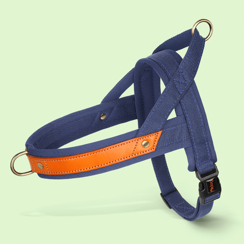 Essential Dog Harness No Pull Vest - Style Double - Clip Control with Leashes - PIKAPIKA
