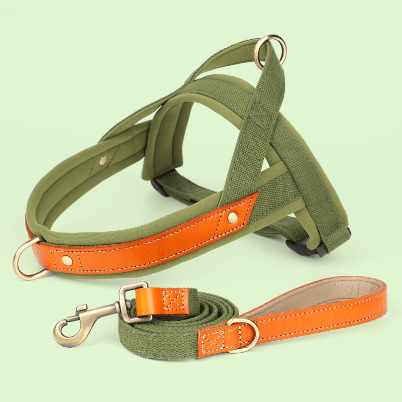 Essential Dog Harness No Pull Vest - Style Double - Clip Control with Leashes - PIKAPIKA