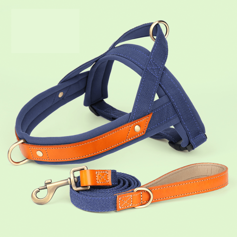 Essential Dog Harness No Pull Vest - Style Double - Clip Control with Leashes - PIKAPIKA