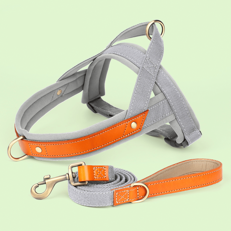Essential Dog Harness No Pull Vest - Style Double - Clip Control with Leashes - PIKAPIKA