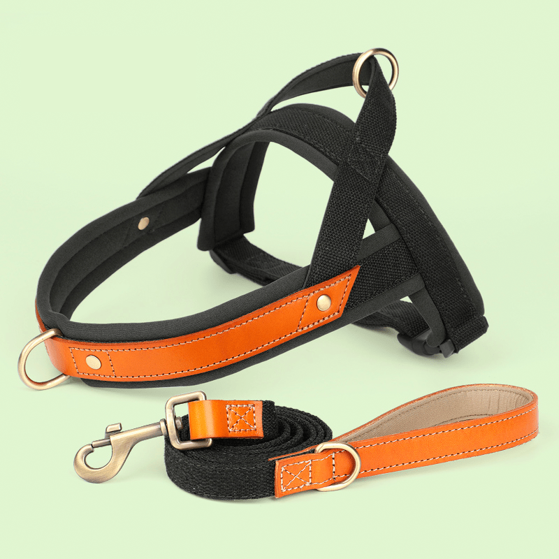 Essential Dog Harness No Pull Vest - Style Double - Clip Control with Leashes - PIKAPIKA