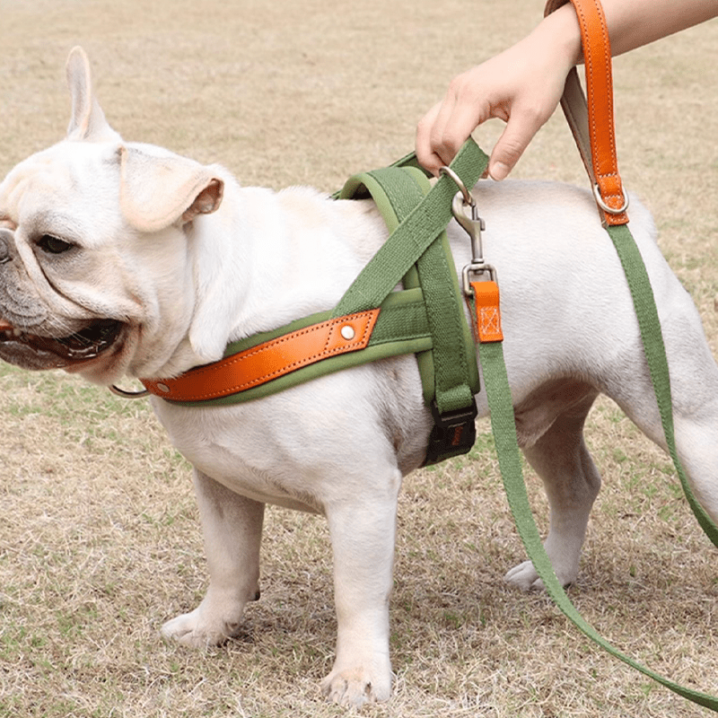 Essential Dog Harness No Pull Vest - Style Double - Clip Control with Leashes - PIKAPIKA