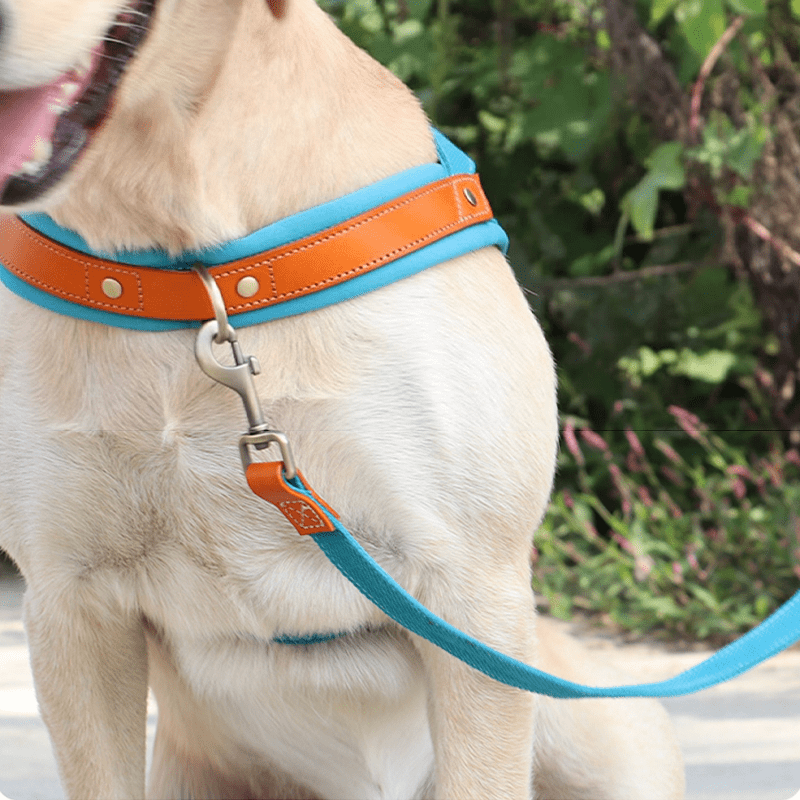 Essential Dog Harness No Pull Vest - Style Double - Clip Control with Leashes - PIKAPIKA