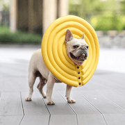 Extended Wide Elizabeth Collar for Dogs Comfortable Recovery Cone - PIKAPIKA