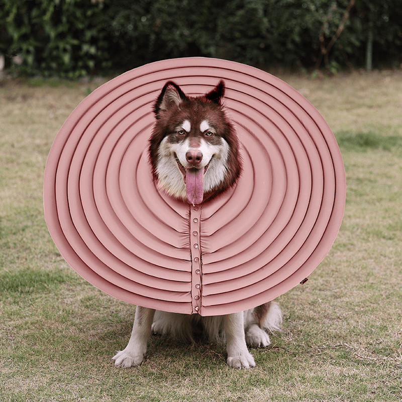 Extended Wide Elizabeth Collar for Dogs Comfortable Recovery Cone - PIKAPIKA