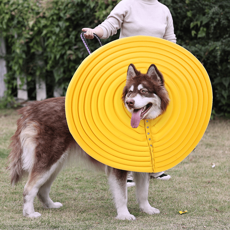 Extended Wide Elizabeth Collar for Dogs Comfortable Recovery Cone - PIKAPIKA