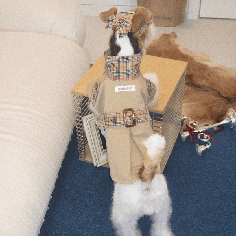 British Style Pet Cape – Warm Autumn Dog Trench Coat