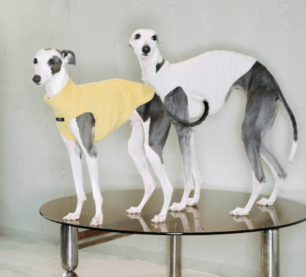 Thermal Stretch Dog Vest - Warm Sleeveless Jacket