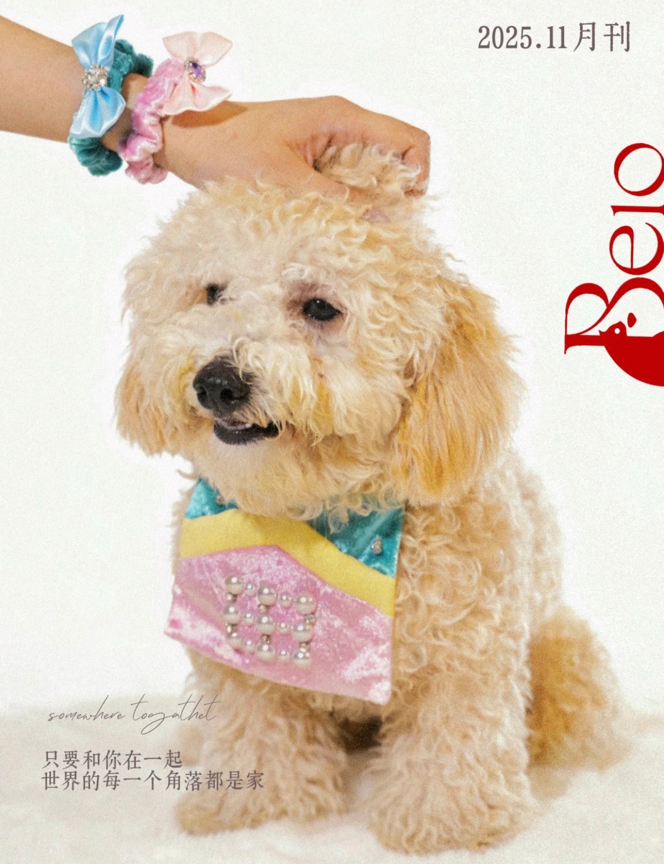 BELO Matching Pet & Owner Bandana