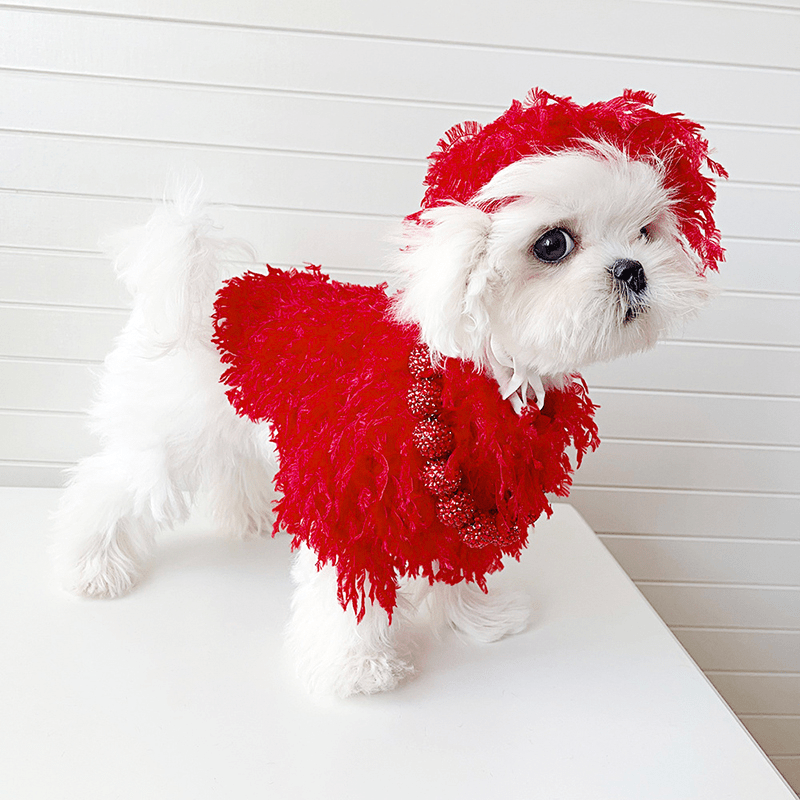 Fancy Dog Clothes Pullover Knit Sweater Small Dog Wear - PIKAPIKA