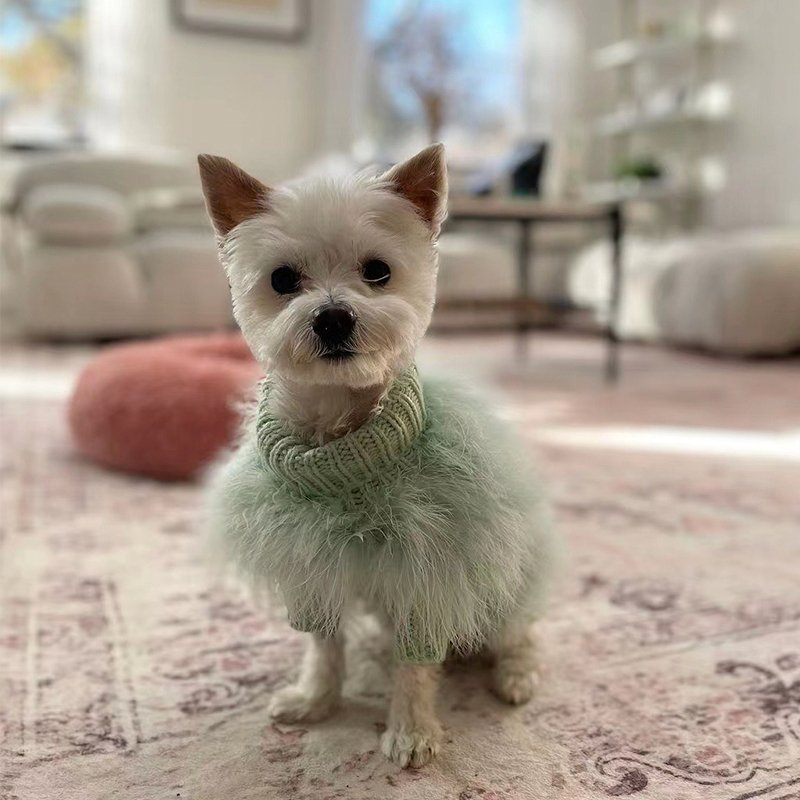 Faux Fur Sweater for Italian Greyhound Whippet - PIKAPIKA