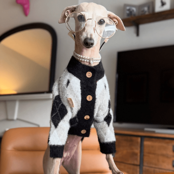 Faux Mink Cardigan Dog Sweater Knit Plush for Italian Greyhound Clothes - PIKAPIKA