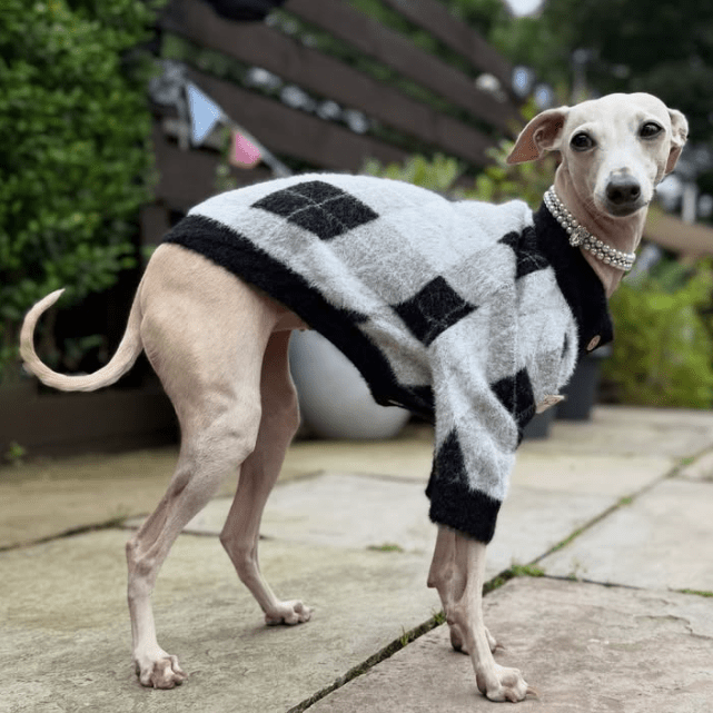 Faux Mink Cardigan Dog Sweater Knit Plush for Italian Greyhound Clothes - PIKAPIKA