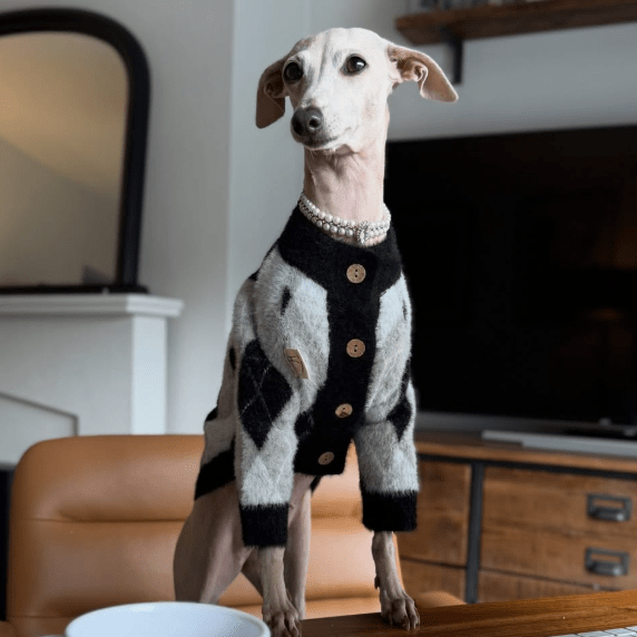 Faux Mink Cardigan Dog Sweater Knit Plush for Italian Greyhound Clothes - PIKAPIKA