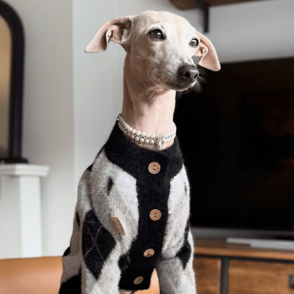Faux Mink Cardigan Dog Sweater Knit Plush for Italian Greyhound Clothes - PIKAPIKA