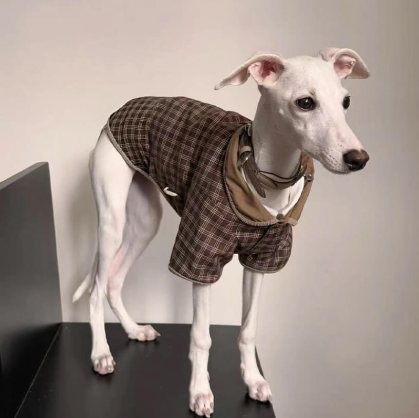 British Style Dog Coat – Retro Warm Cotton-Lined Jacket