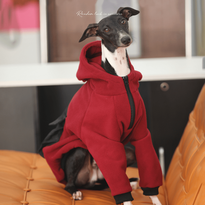 Fleece Hoodie Casual Italian Greyhound Whippet Dog Clothes Red - PIKAPIKA