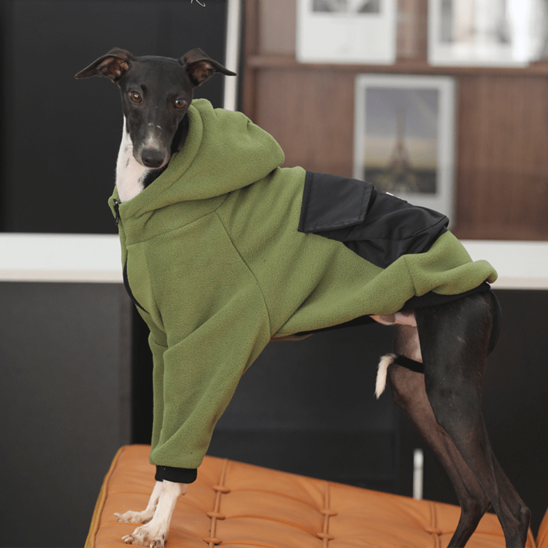 Fleece Hoodie Italian Greyhound Whippet Dog Clothes Green - PIKAPIKA