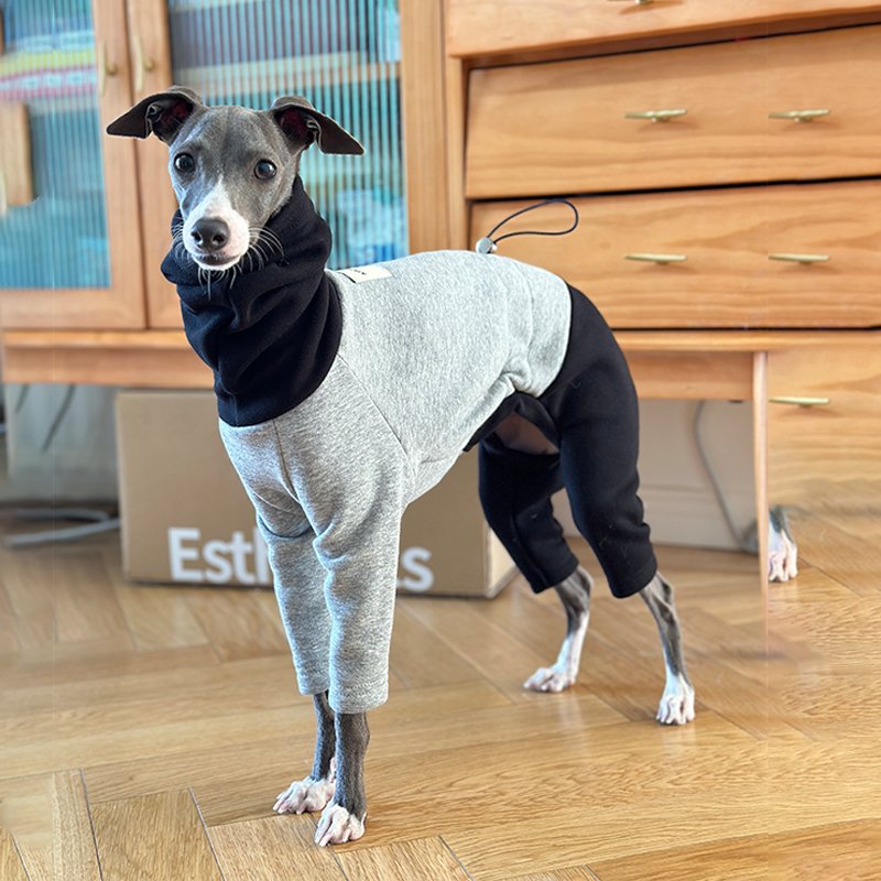 Fleece Onesie for Italian greyhound Whippet Dog Clothes - PIKAPIKA
