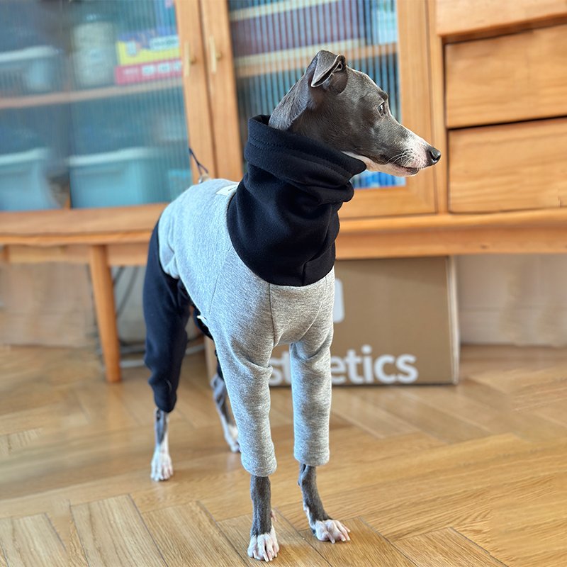 Fleece Onesie for Italian greyhound Whippet Dog Clothes - PIKAPIKA