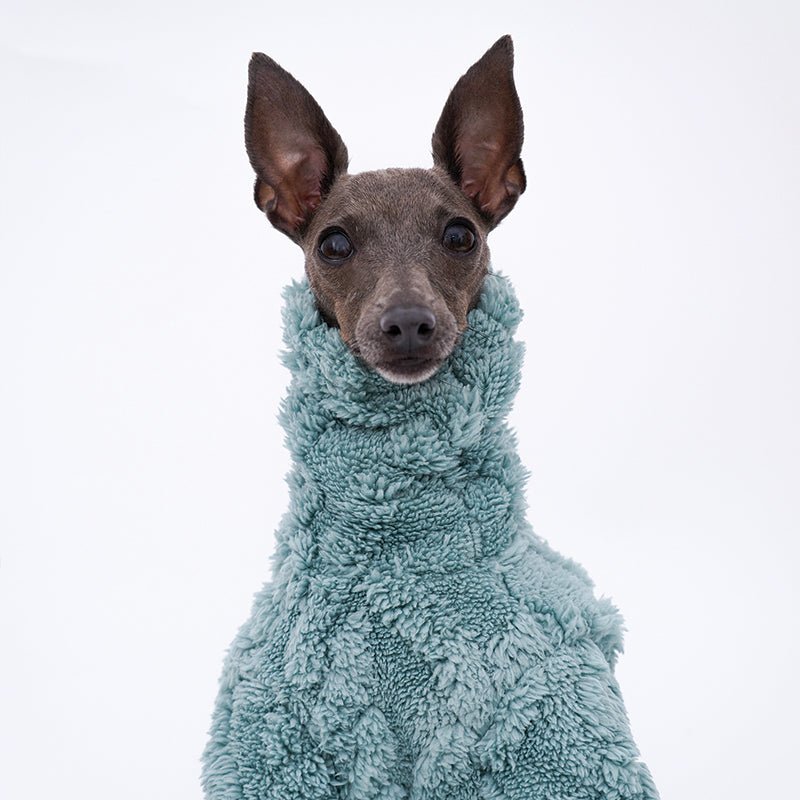 Fleece Onesie for Italian greyhound Whippet Dog Clothes - PIKAPIKA