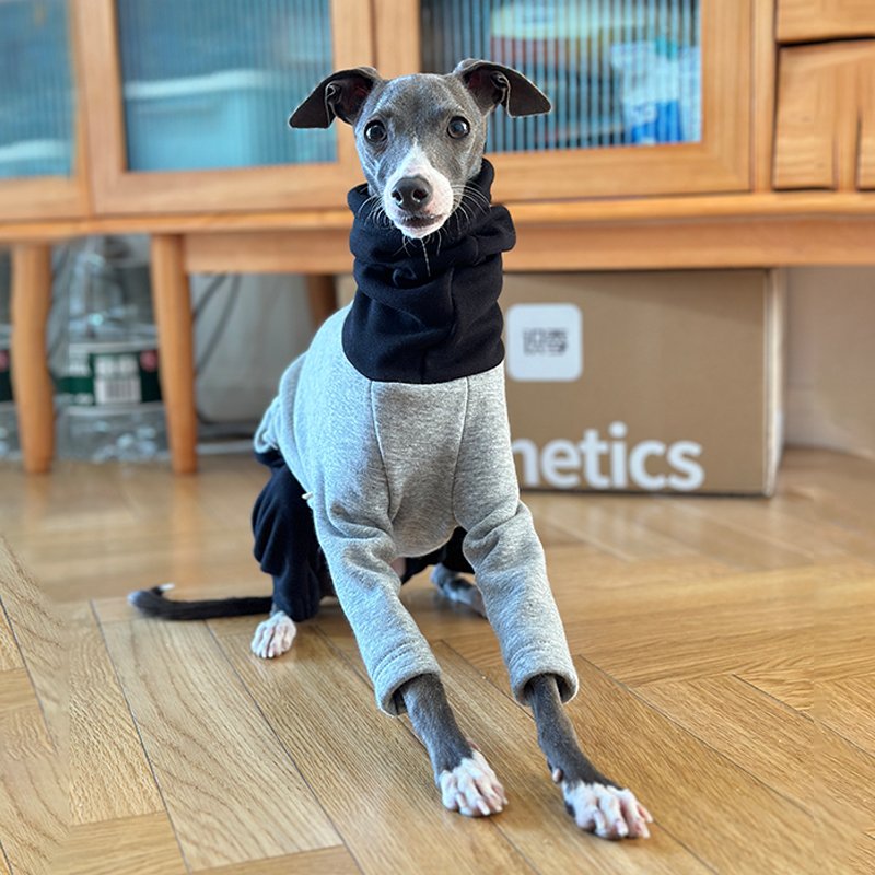 Fleece Onesie for Italian greyhound Whippet Dog Clothes - PIKAPIKA