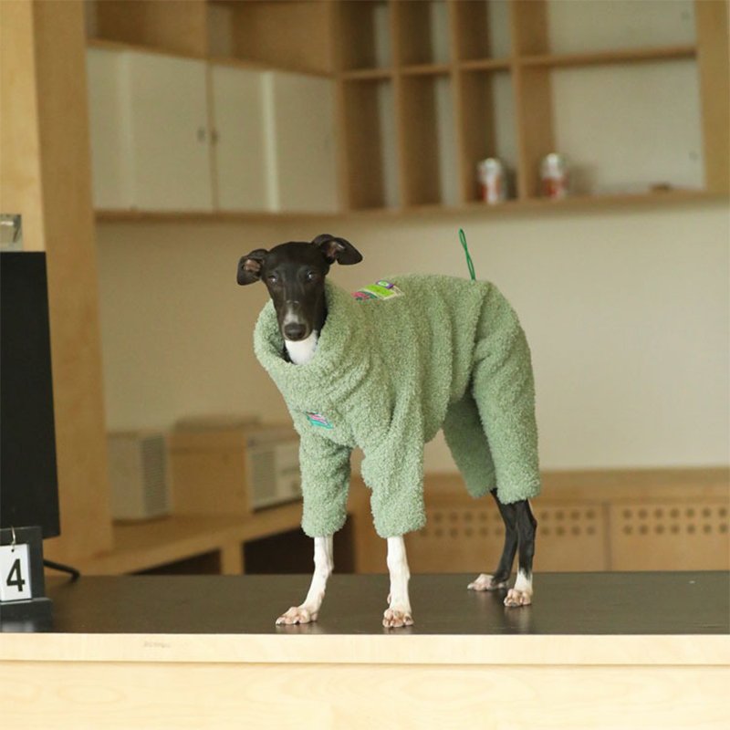 Fleece Onesie Italian Greyhound Whippet Dog Clothes - PIKAPIKA