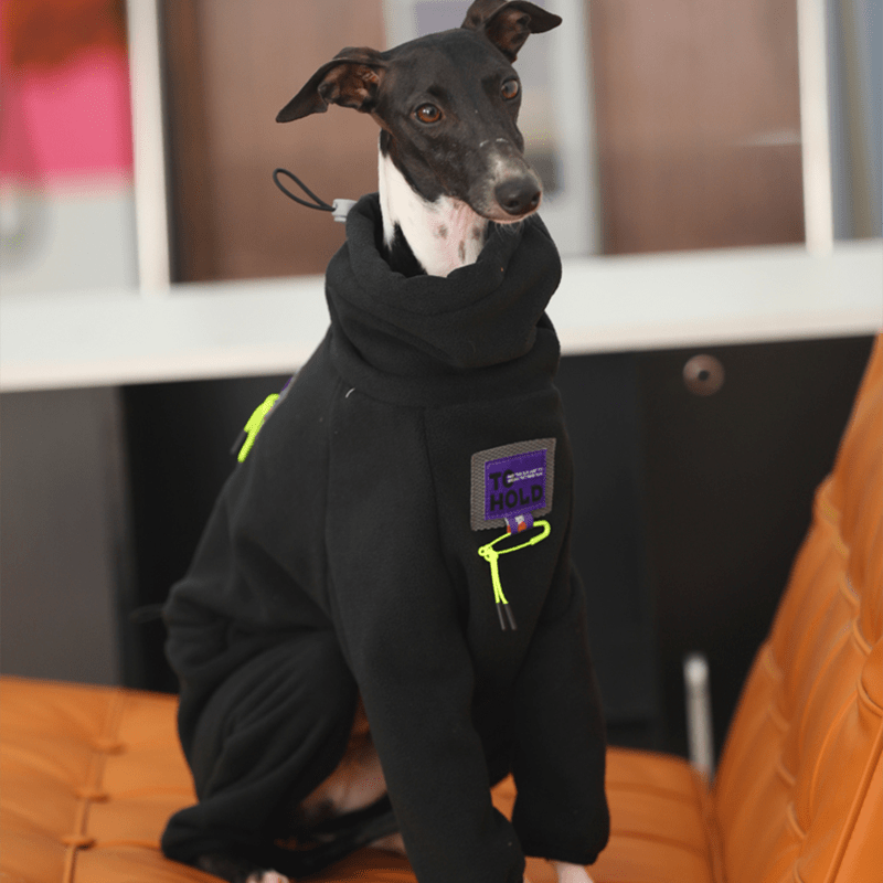 Fleece Onesies 4Legs Italian Greyhound Whippet Dog Clothes Black - PIKAPIKA
