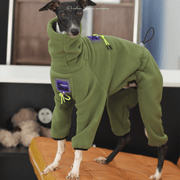 Fleece Onesies 4Legs Italian Greyhound Whippet Dog Clothes Green - PIKAPIKA