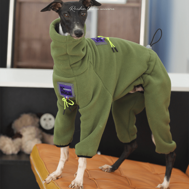 Fleece Onesies 4Legs Italian Greyhound Whippet Dog Clothes Green - PIKAPIKA
