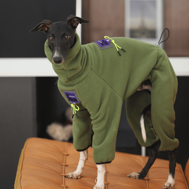 Fleece Onesies 4Legs Italian Greyhound Whippet Dog Clothes Green - PIKAPIKA