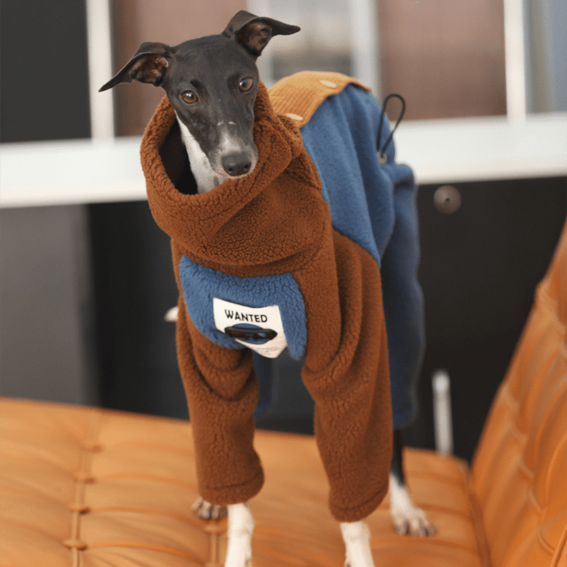 Fleece Onesies 4Legs Italian Greyhound Whippet Dog Clothes Multicolor - PIKAPIKA