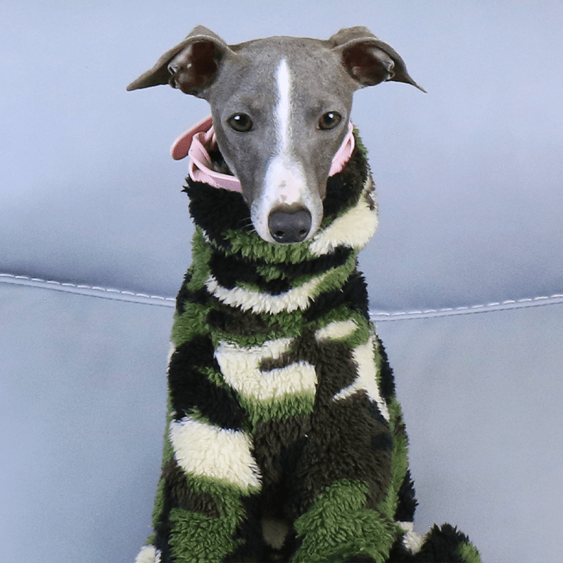 Fleece Onesies Camouflage Italian Greyhound Whippet Dog Clothes - PIKAPIKA
