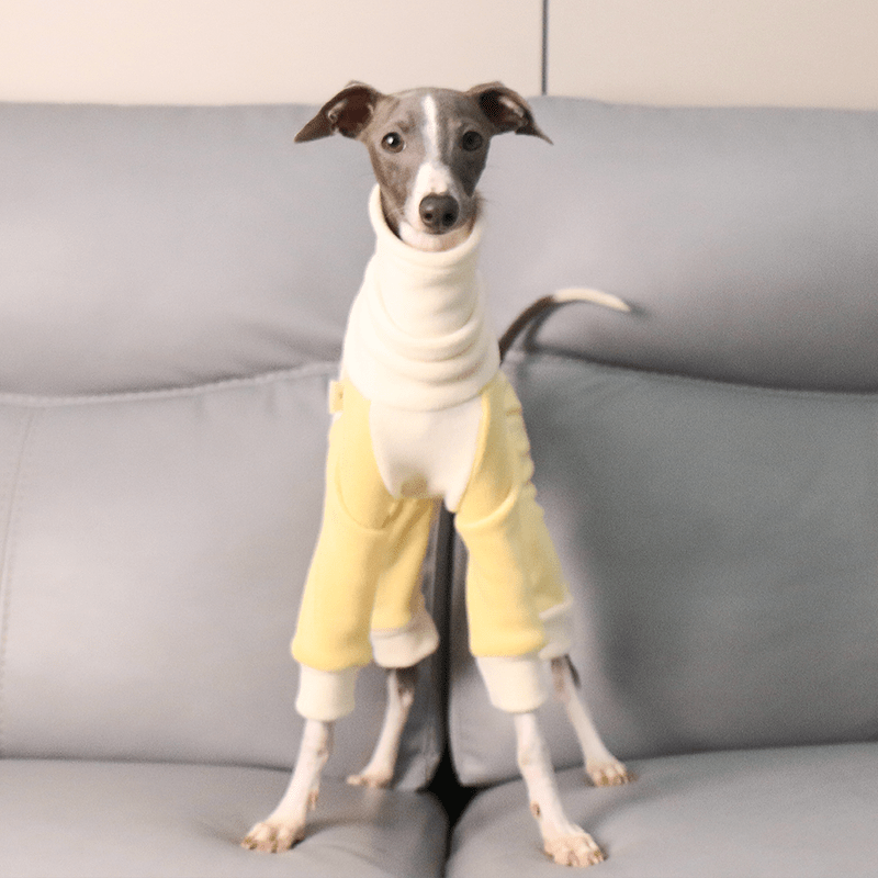 Fleece Onesies High Neck for Italian Greyhound Whippet Dog Clothes - PIKAPIKA