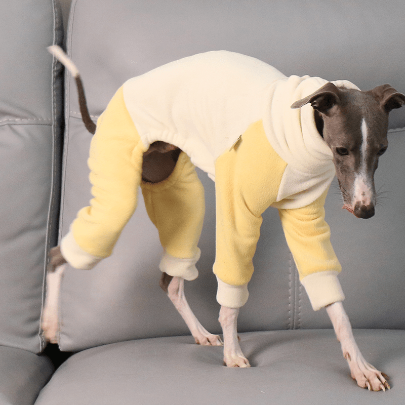 Fleece Onesies High Neck for Italian Greyhound Whippet Dog Clothes - PIKAPIKA