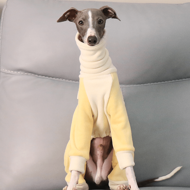 Fleece Onesies High Neck for Italian Greyhound Whippet Dog Clothes - PIKAPIKA