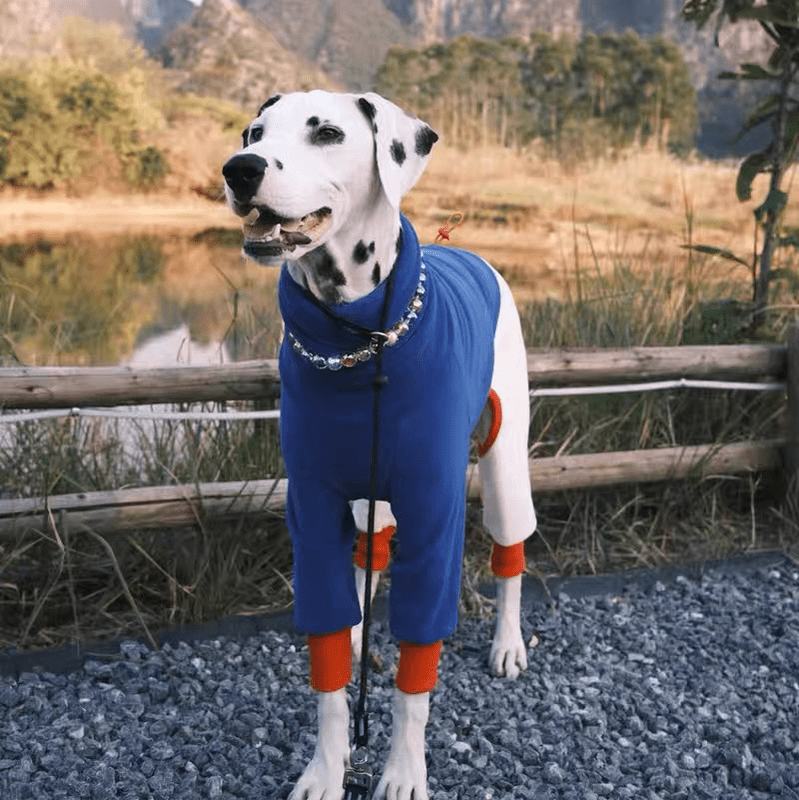 Fleece Onesies Italian greyhound Whippet Dog Clothes - PIKAPIKA